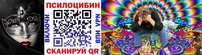 Галлюциногенные грибы Psilocybe  Окуловка 